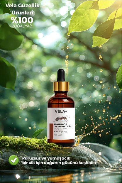 Karınca Yumurtası Yağı 100 ML